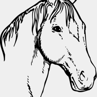 HORSE008 Thumbnail