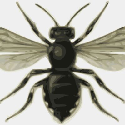 jbruce bee  M lecle ponctu e  Thumbnail