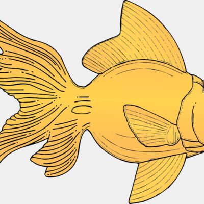 johnny automatic fish 2 Thumbnail