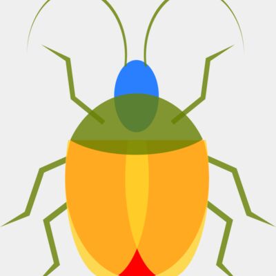 nature insect Thumbnail