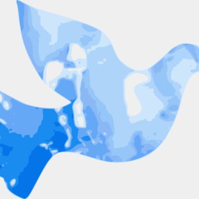 cibo00 Water Dove Thumbnail