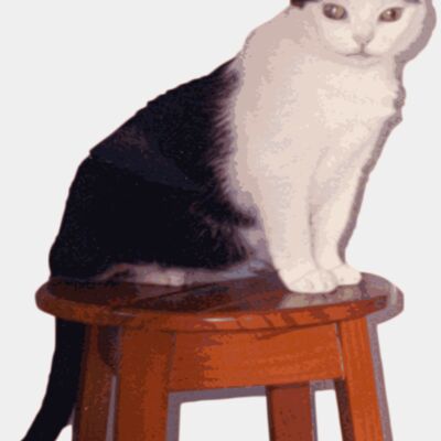 Juma Marrua Thumbnail