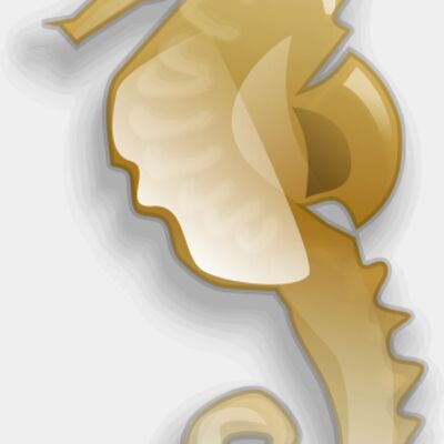 Anonymous Seahorse Thumbnail