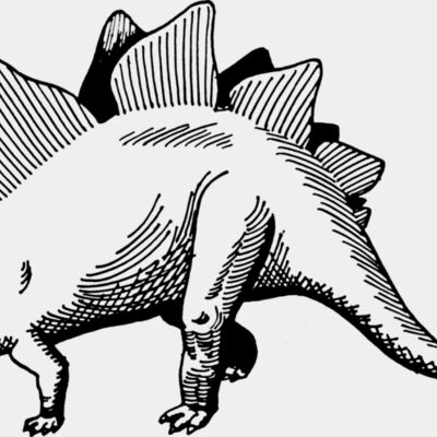 Stegosaurus  Thumbnail