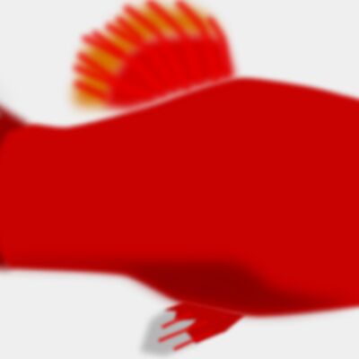 mystica Aquarium fish   Xiphophorus maculatus Thumbnail