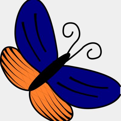papillon bleu orange Thumbnail
