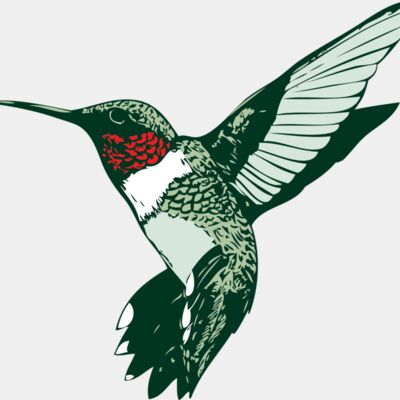 ruby throated hummer Thumbnail
