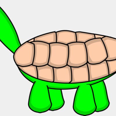 tortoise stage6 Thumbnail