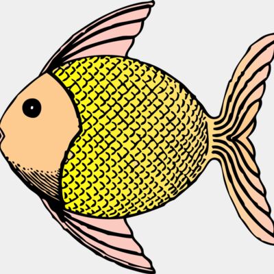 johnny automatic tropical fish Thumbnail