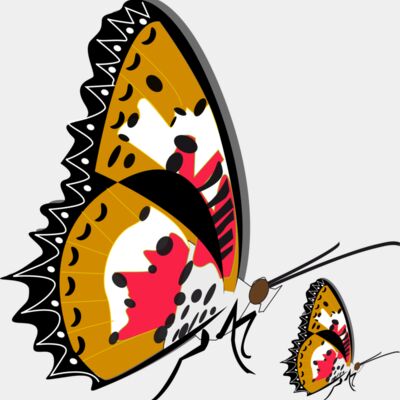 papillonddailes Thumbnail