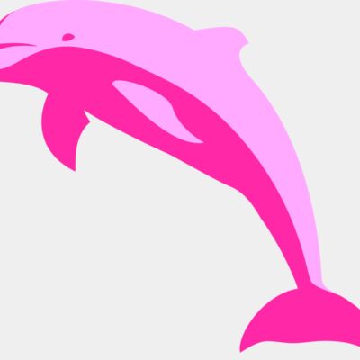 ha1flosse delphin delfin dolphin 1 Thumbnail