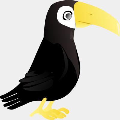 toucan   simple Thumbnail