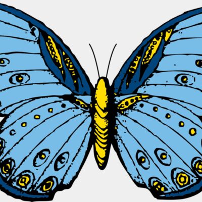 johnny automatic butterfly 1 Thumbnail