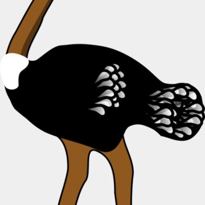 rpzboray ostrich Thumbnail