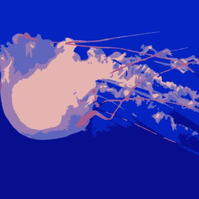 Jellyfish 02 Thumbnail