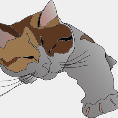 missiridia Sleepy Calico Cat Thumbnail