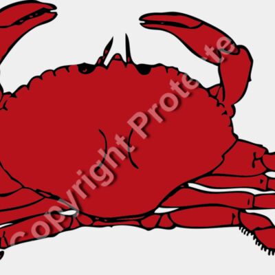 johnny automatic crab Thumbnail