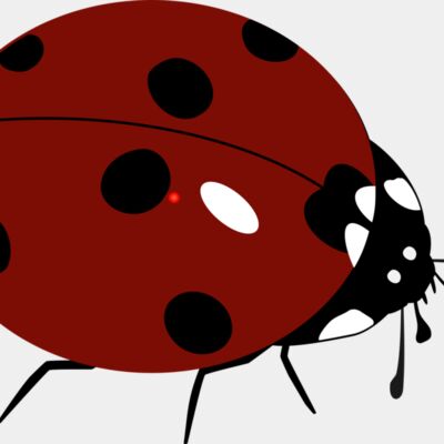 1368310520  2  Thumbnail