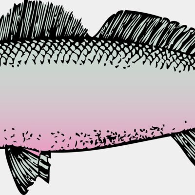 johnny automatic fish Thumbnail