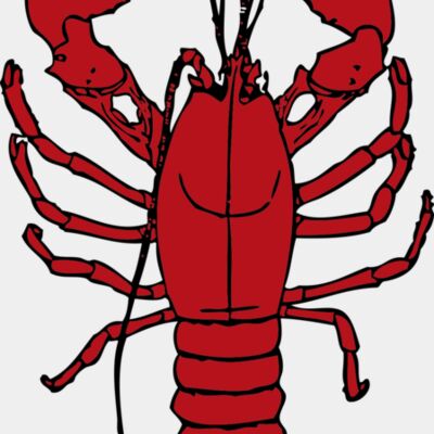 johnny automatic lobster 1 Thumbnail