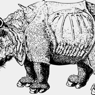 sclopit renaissance rhino Thumbnail