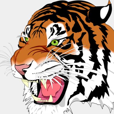 tiger Thumbnail