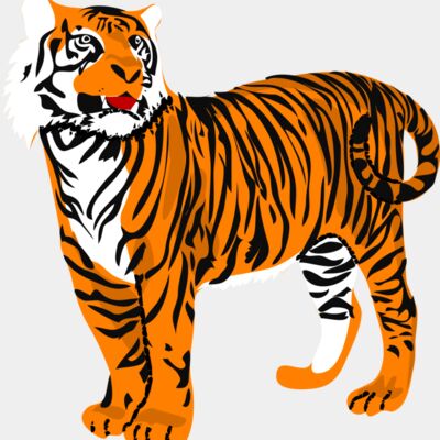 tigre04 architetto fran 01r Thumbnail