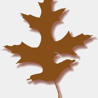 rwwgub Oak Leaf   Autumn 2 Thumbnail