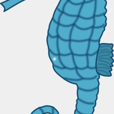 seepferdchen1 Thumbnail