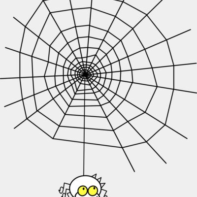 ryanlerch ragno the spider with a simple web Thumbnail