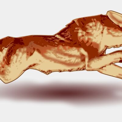 tomas arad fox Thumbnail