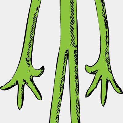 johnny automatic skinny frog Thumbnail