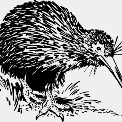 1298110285  2  Thumbnail