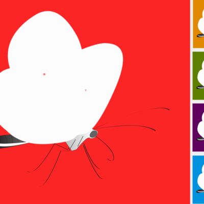 colourful butterflies Thumbnail