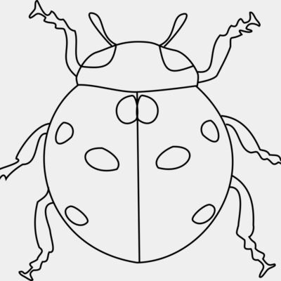 0040 aw coccinelle  2  Thumbnail