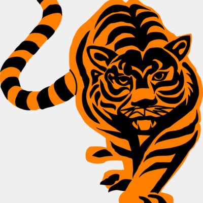 tigre02 architetto fran 01r Thumbnail