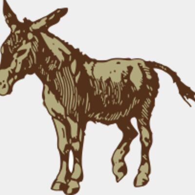 johnny automatic donkey 1 Thumbnail