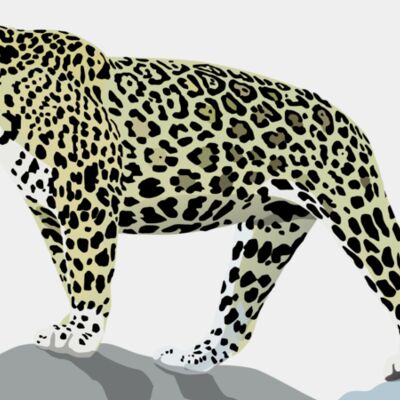 1277871164  2  Thumbnail