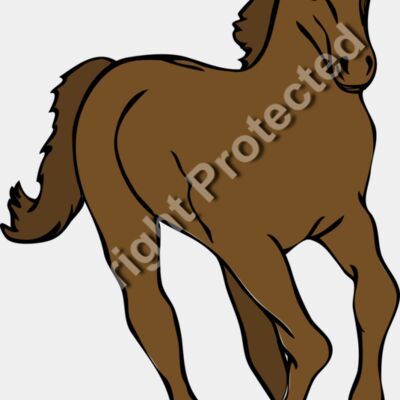 Anonymous Architetto    Cavallo 20 Thumbnail